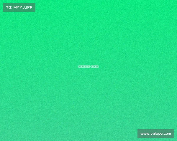 北马赛事保障标准-北马参赛服